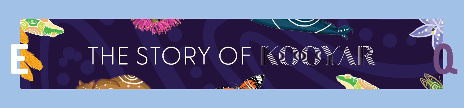 The Story of Kooyar 