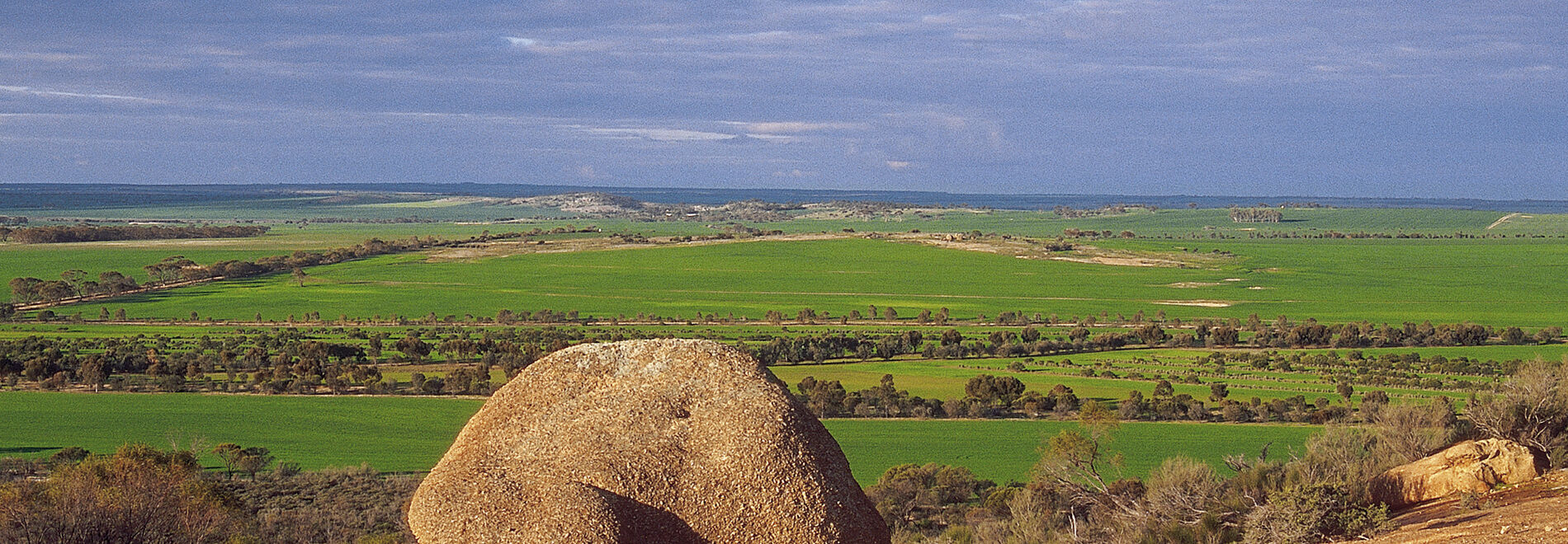 Kellerberrin Land for Sale DevelopmentWA Shaping our State's future