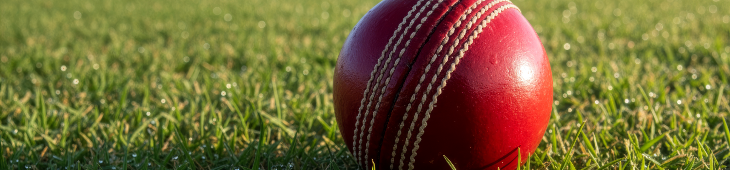 Ashes Watch Party at Elizabeth Quay 