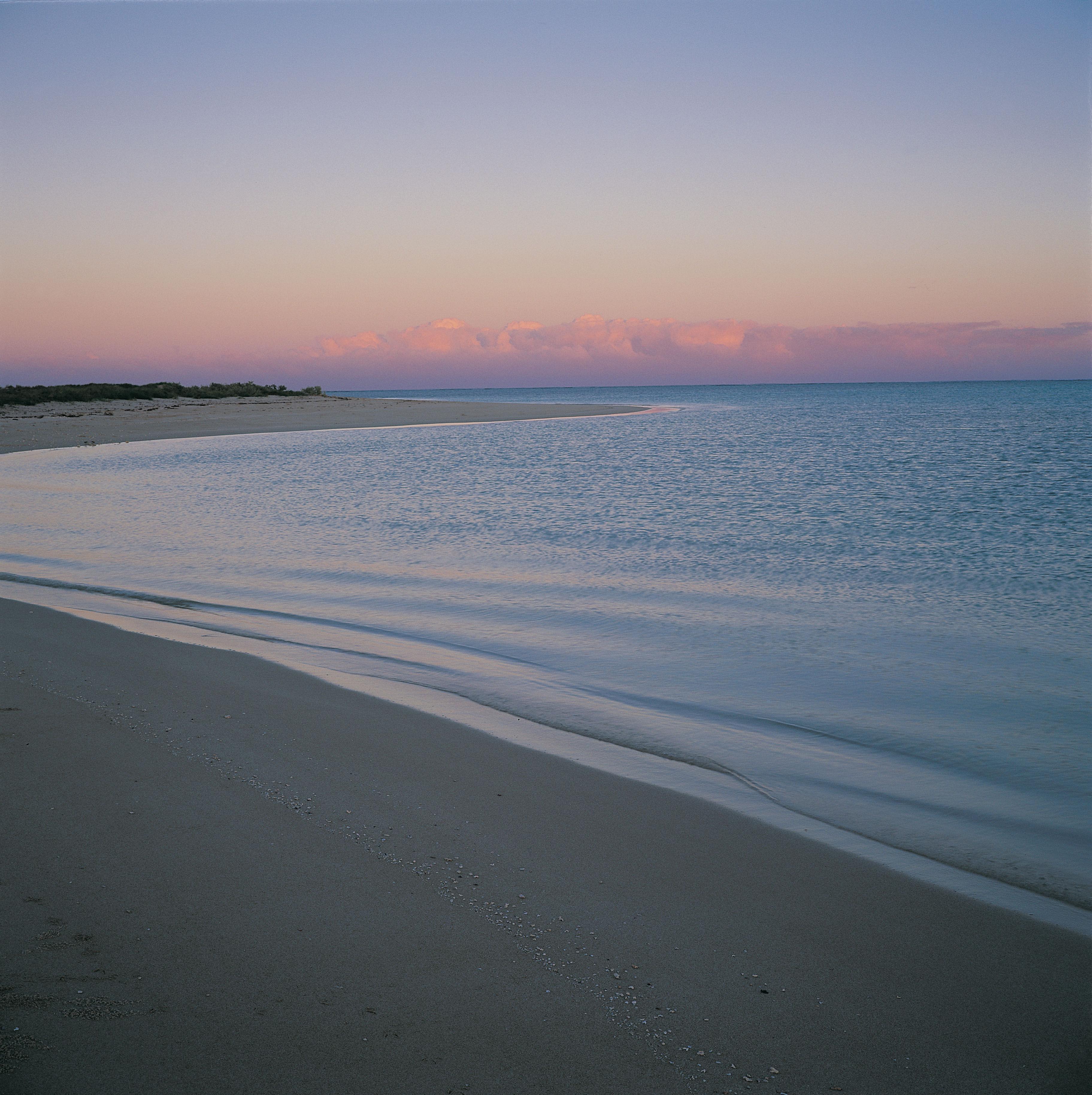 Gascoyne