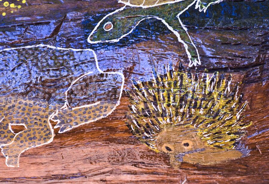 Halls Creek