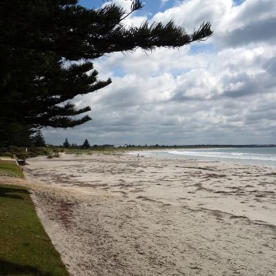 Beachscape