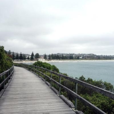 Boardwalk Looking Back To Site