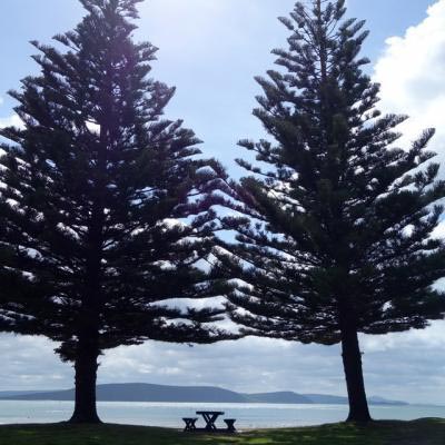 Middleton Beach