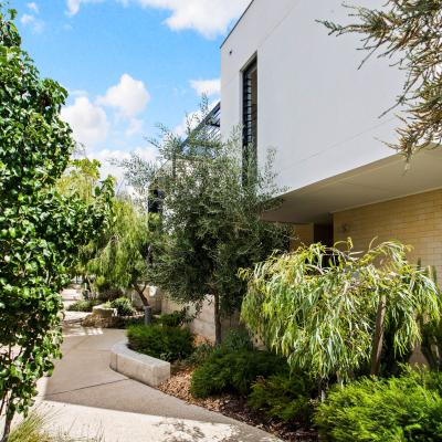 Salt Lane interior landscaping