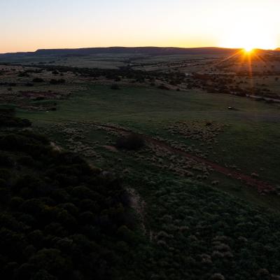 Sia Oakajee Drone 07