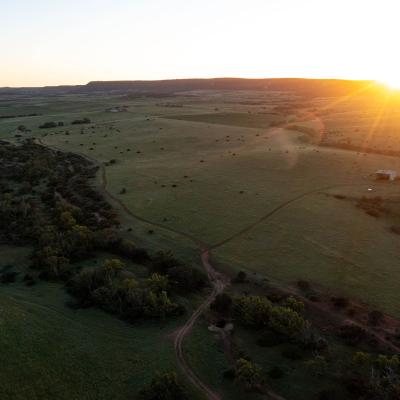 Sia Oakajee Drone 12