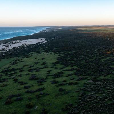 Sia Oakajee Drone 13