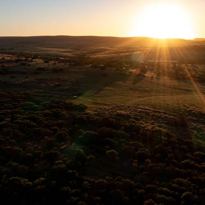 Sia Oakajee Drone 14