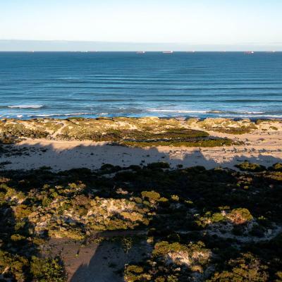 Sia Oakajee Drone 15