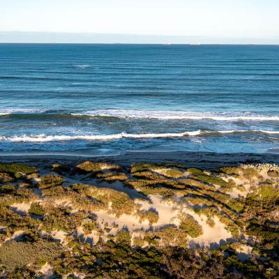 Sia Oakajee Drone 16