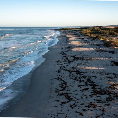 Sia Oakajee Drone 17