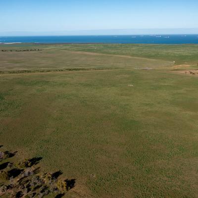 Sia Oakajee Drone 24