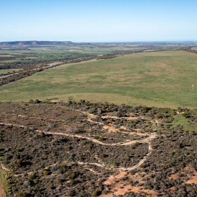 Sia Oakajee Drone 25