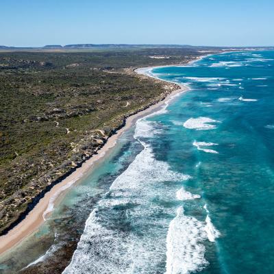 Sia Oakajee Drone 29