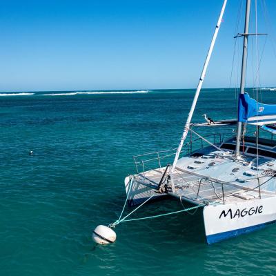 Sia Oakajee Drone 31