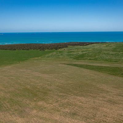 Sia Oakajee Drone 32