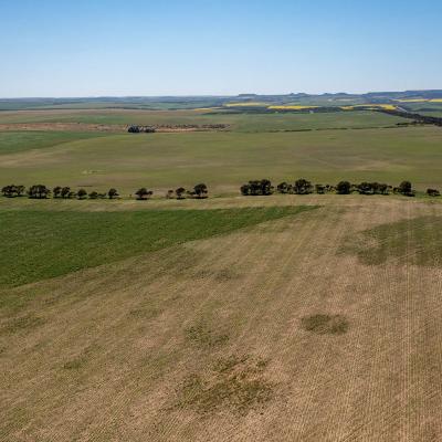 Sia Oakajee Drone 33