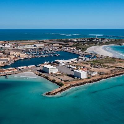 Sia Oakajee Drone 35