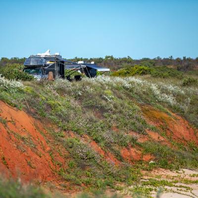 Sia Browse Lng Gallery 10