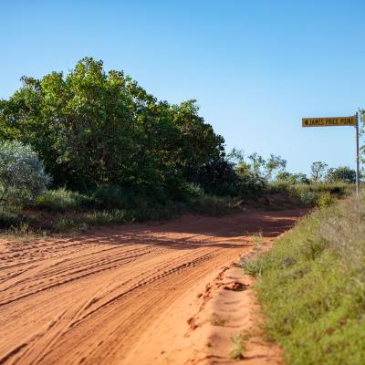 Sia Browse Lng Gallery 14