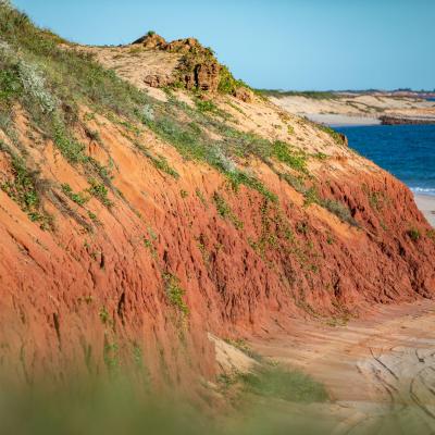 Sia Browse Lng Gallery 16