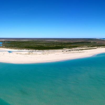 Sia Browse Lng Gallery 1