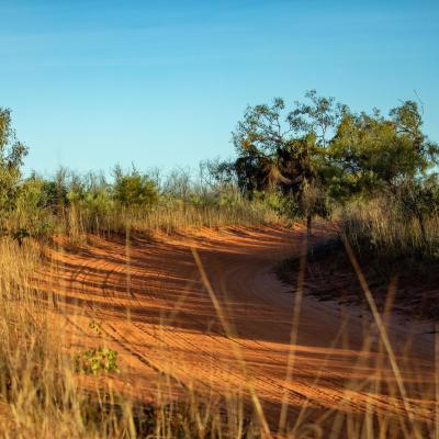 Sia Browse Lng Gallery 21