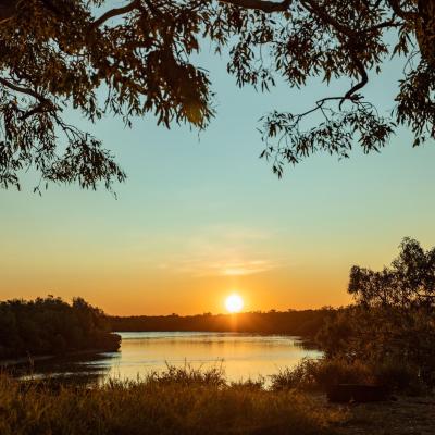 Sia Browse Lng Gallery 22