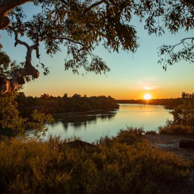 Sia Browse Lng Gallery 23