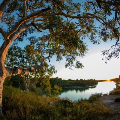 Sia Browse Lng Gallery 25