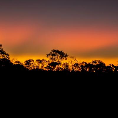 Sia Browse Lng Gallery 27