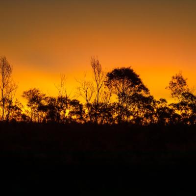 Sia Browse Lng Gallery 28