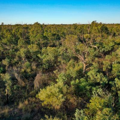 Sia Browse Lng Gallery 38