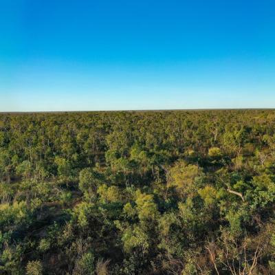 Sia Browse Lng Gallery 39