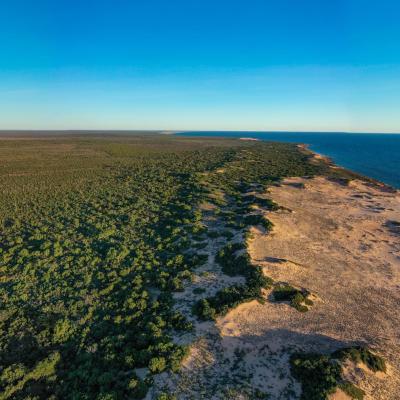 Sia Browse Lng Gallery 41