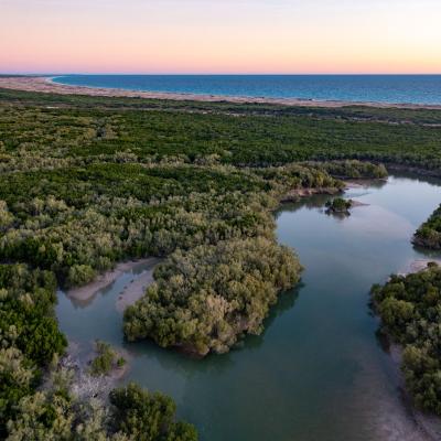 Sia Browse Lng Gallery 43