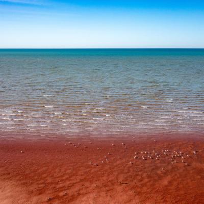 Sia Browse Lng Gallery 46