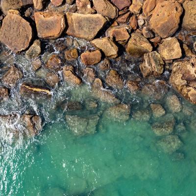 Sia Browse Lng Gallery 57