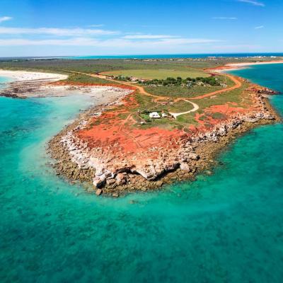 Sia Browse Lng Gallery 58