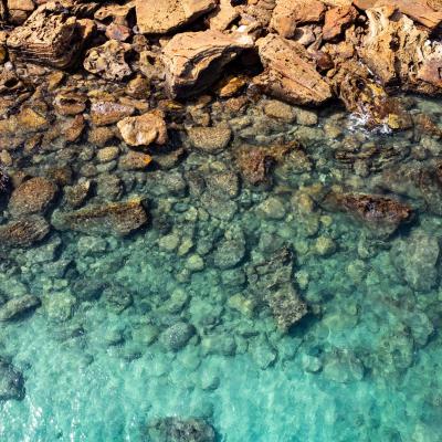 Sia Browse Lng Gallery 61