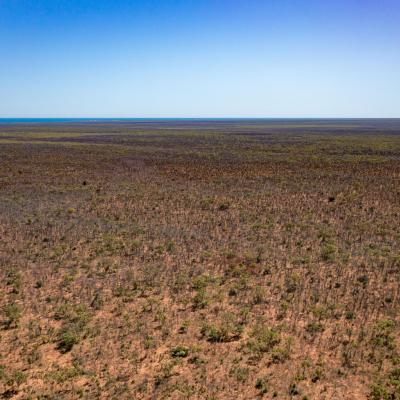 Sia Browse Lng Gallery 62