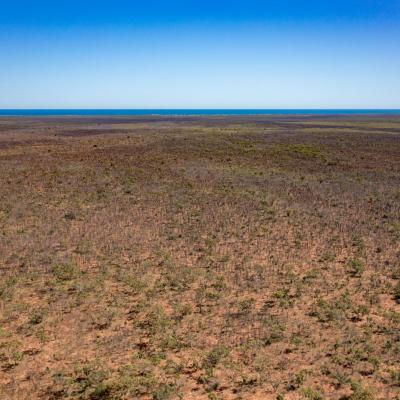 Sia Browse Lng Gallery 63