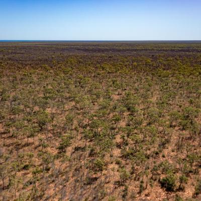 Sia Browse Lng Gallery 64