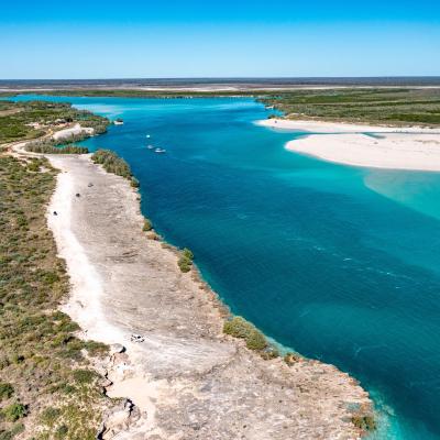 Sia Browse Lng Gallery 69