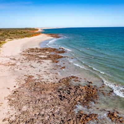 Sia Browse Lng Gallery 70