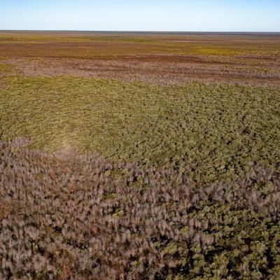 Sia Browse Lng Gallery 74