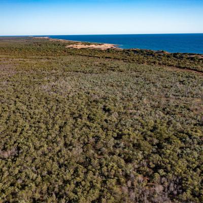 Sia Browse Lng Gallery 75