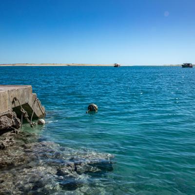 Sia Browse Lng Gallery 7