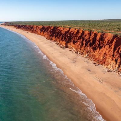 Sia Browse Lng Gallery 83